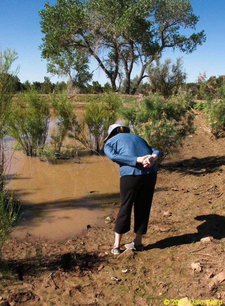 My lovely assistant, checking for quicksand before we send in the Research Team