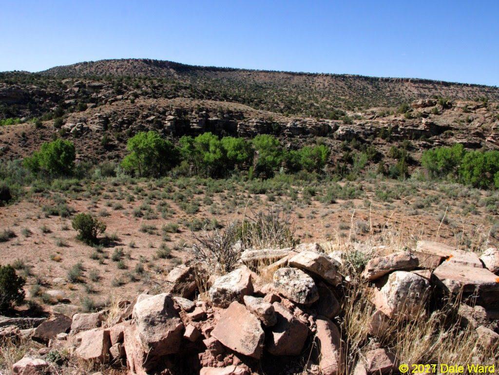 Yellow Jacket Creek, from the ruin