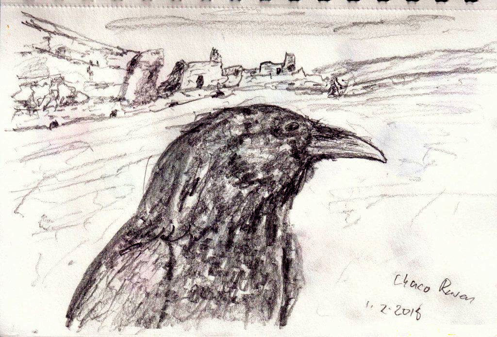 Raven and Ruins at Chaco Canyon