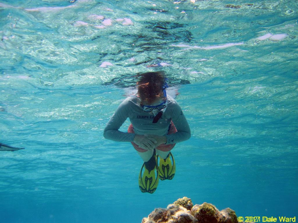 laurie snorkeling picture