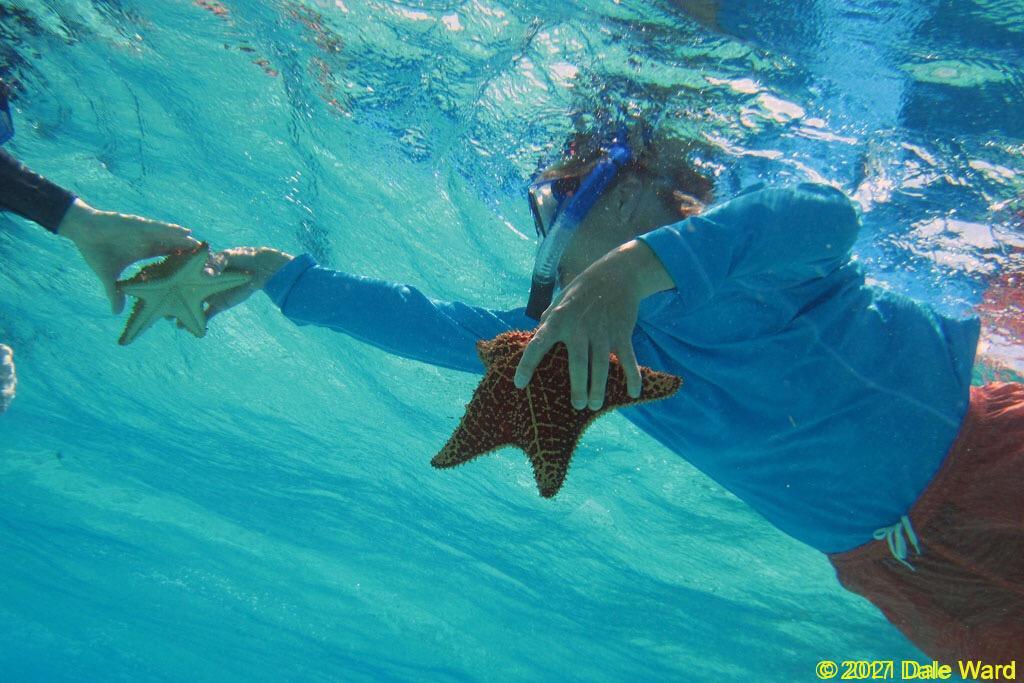 Giving away a starfish picture