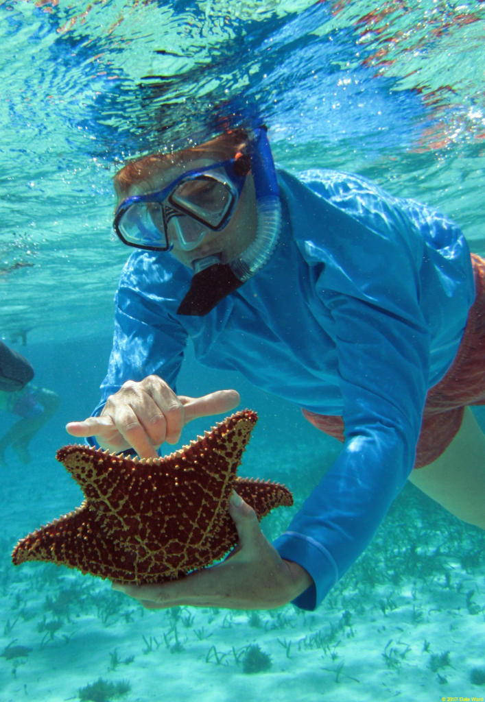 Laurie with a starfish picture
